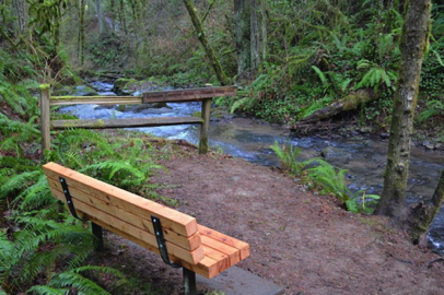 Bench and viewpoint at the Creek Trail